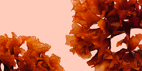 Material 小部件視覺化裝飾背景。